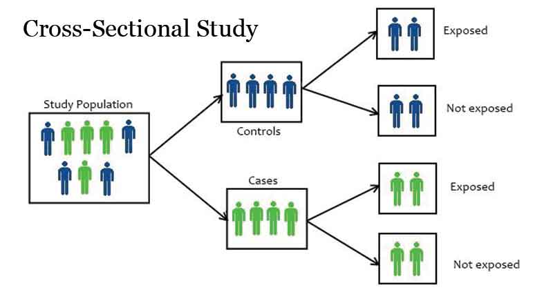 cross sectional study design in research methodology