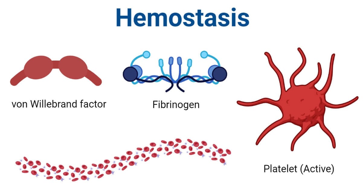 hemostasis-definition-mechanism-significance